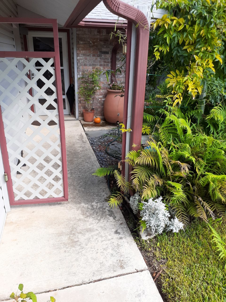 20200925_104215.jpg