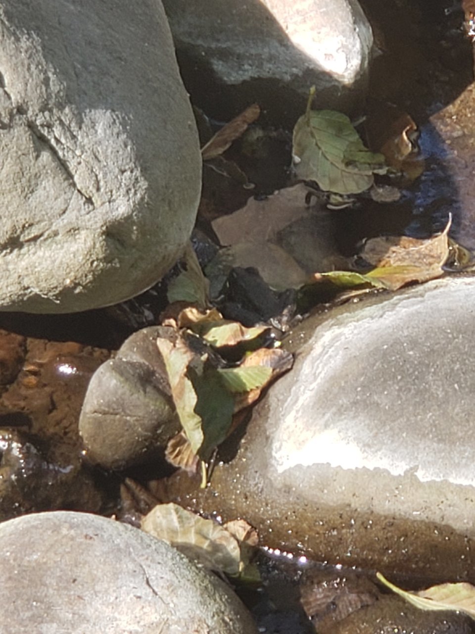 20200925_155323.jpg