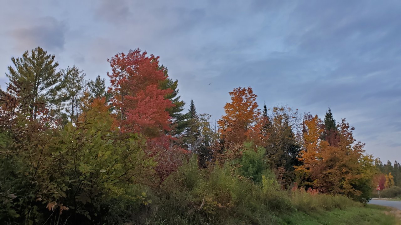 20200925_181840.jpg