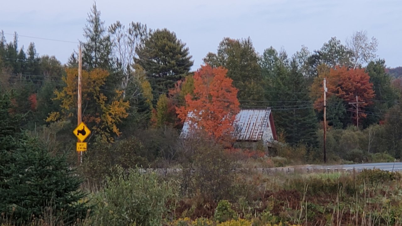 20200925_181942.jpg