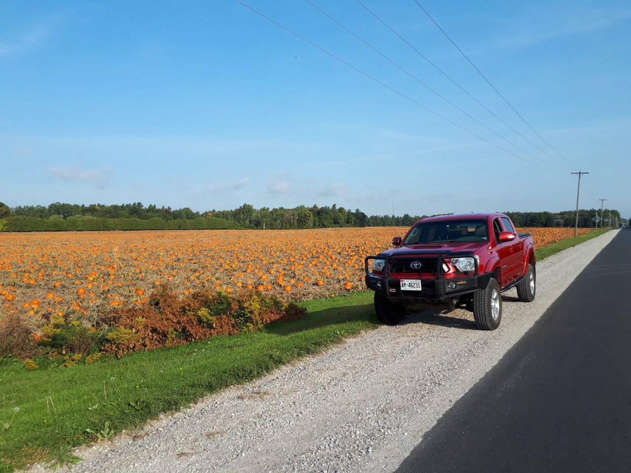 20200926_093642_Original.jpg