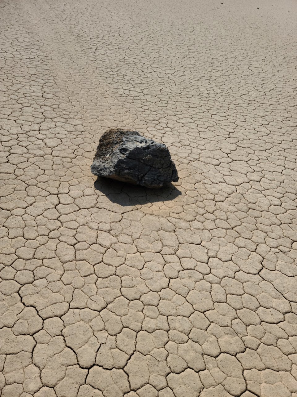 20200926_124142.jpg