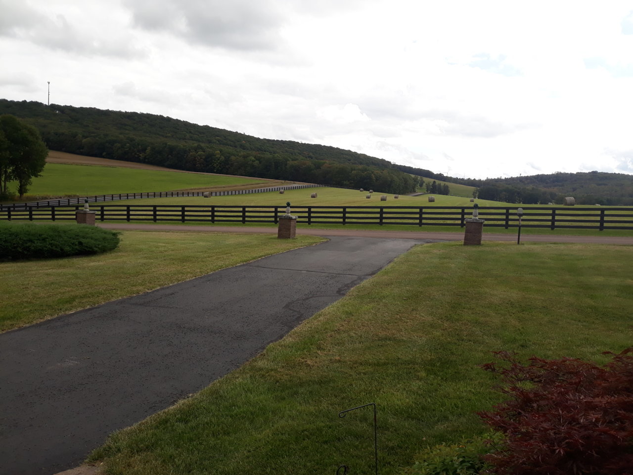 20200926_142833.jpg