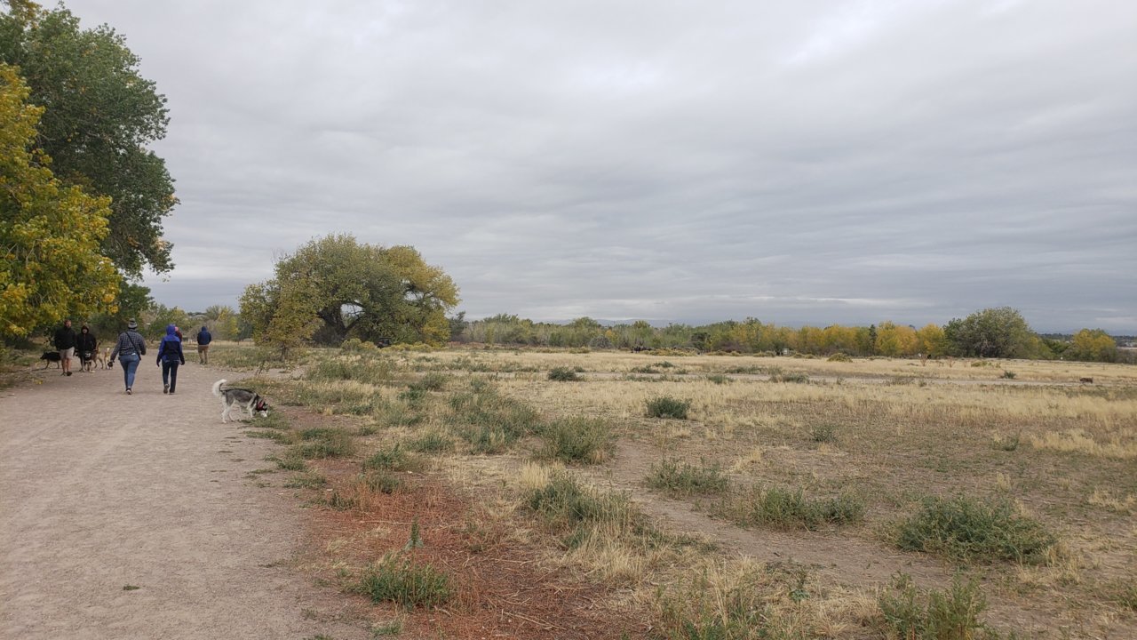 20200927_101647.jpg