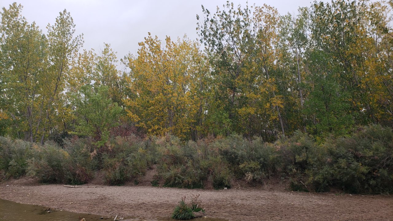 20200927_103113.jpg