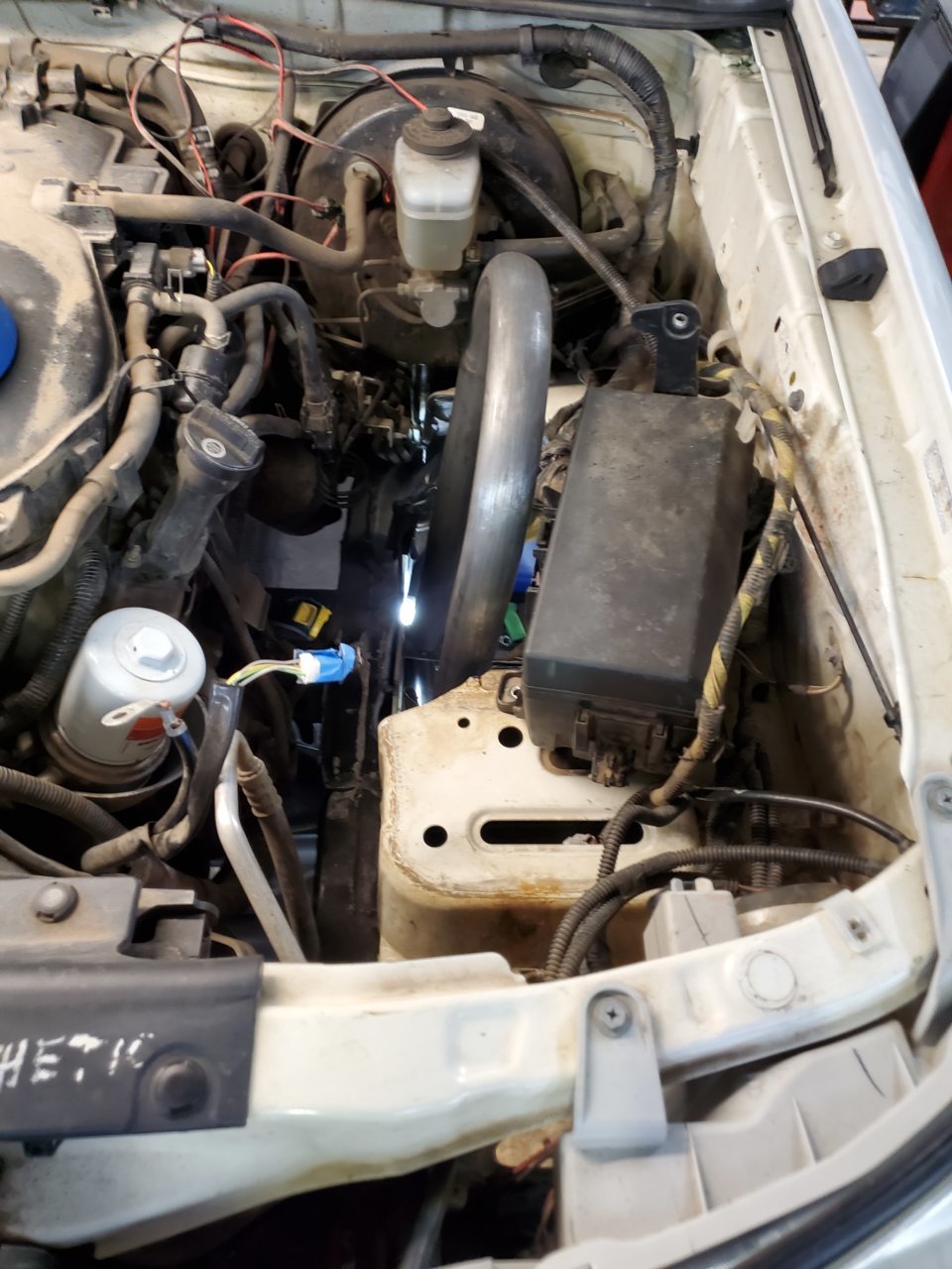 20200927_124533.jpg