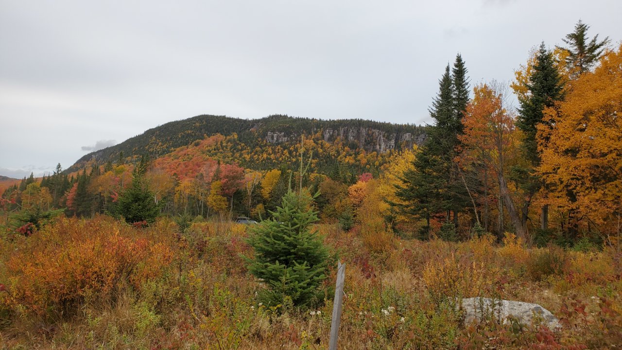 20200927_135830.jpg