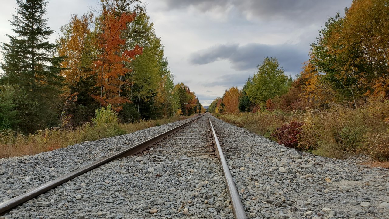 20200927_155733.jpg