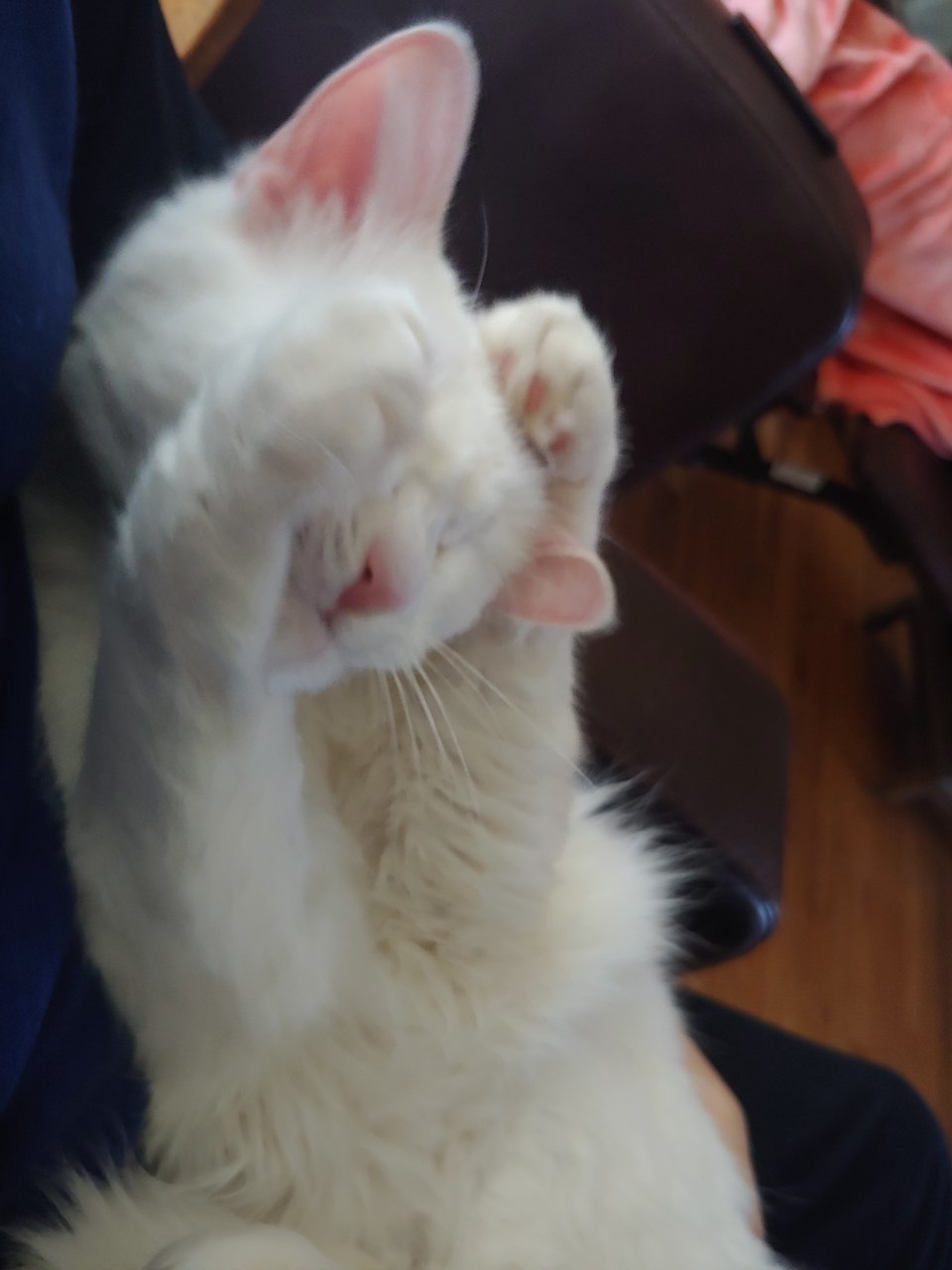 20200927_180311.jpg