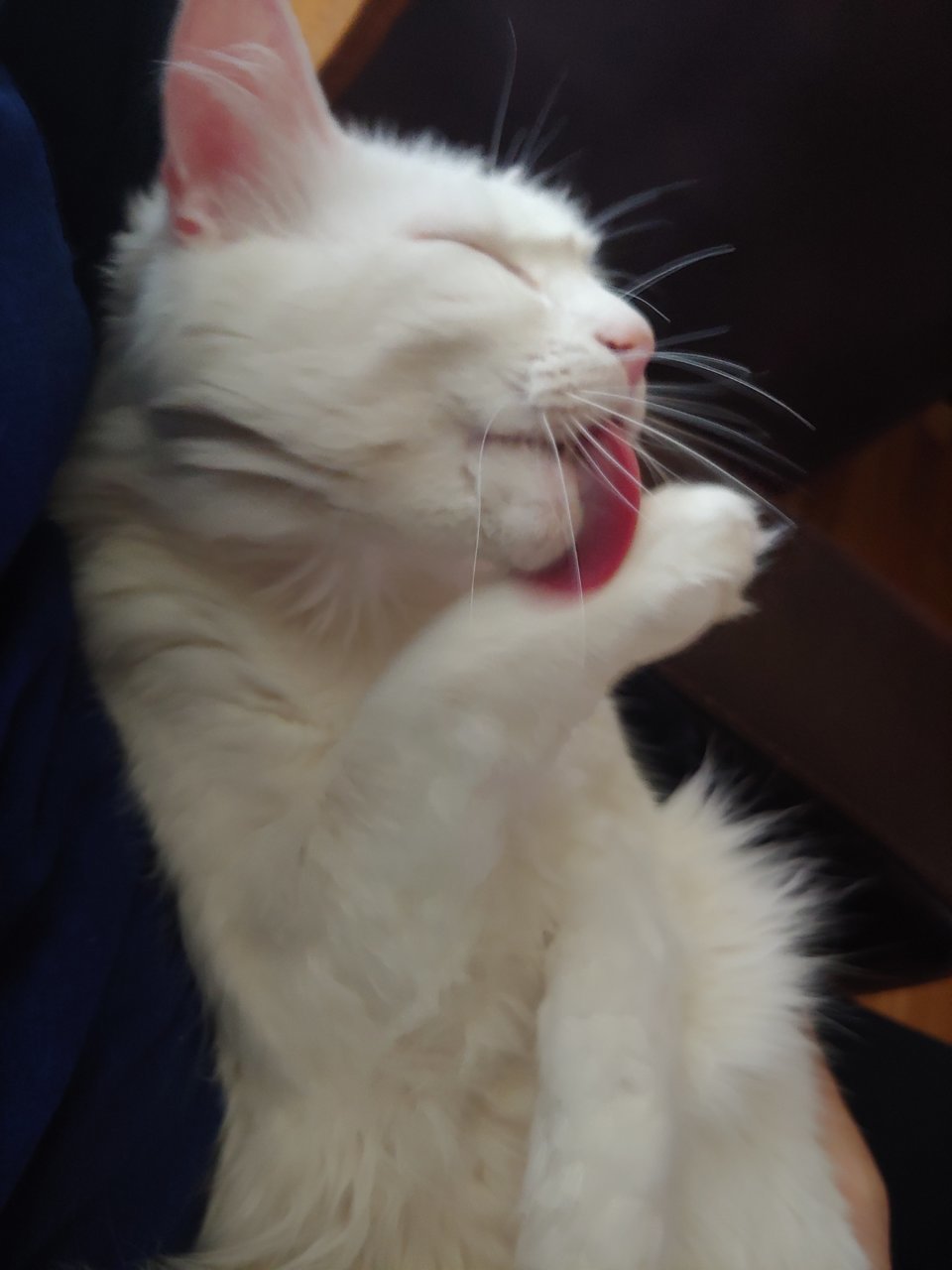 20200927_180431.jpg
