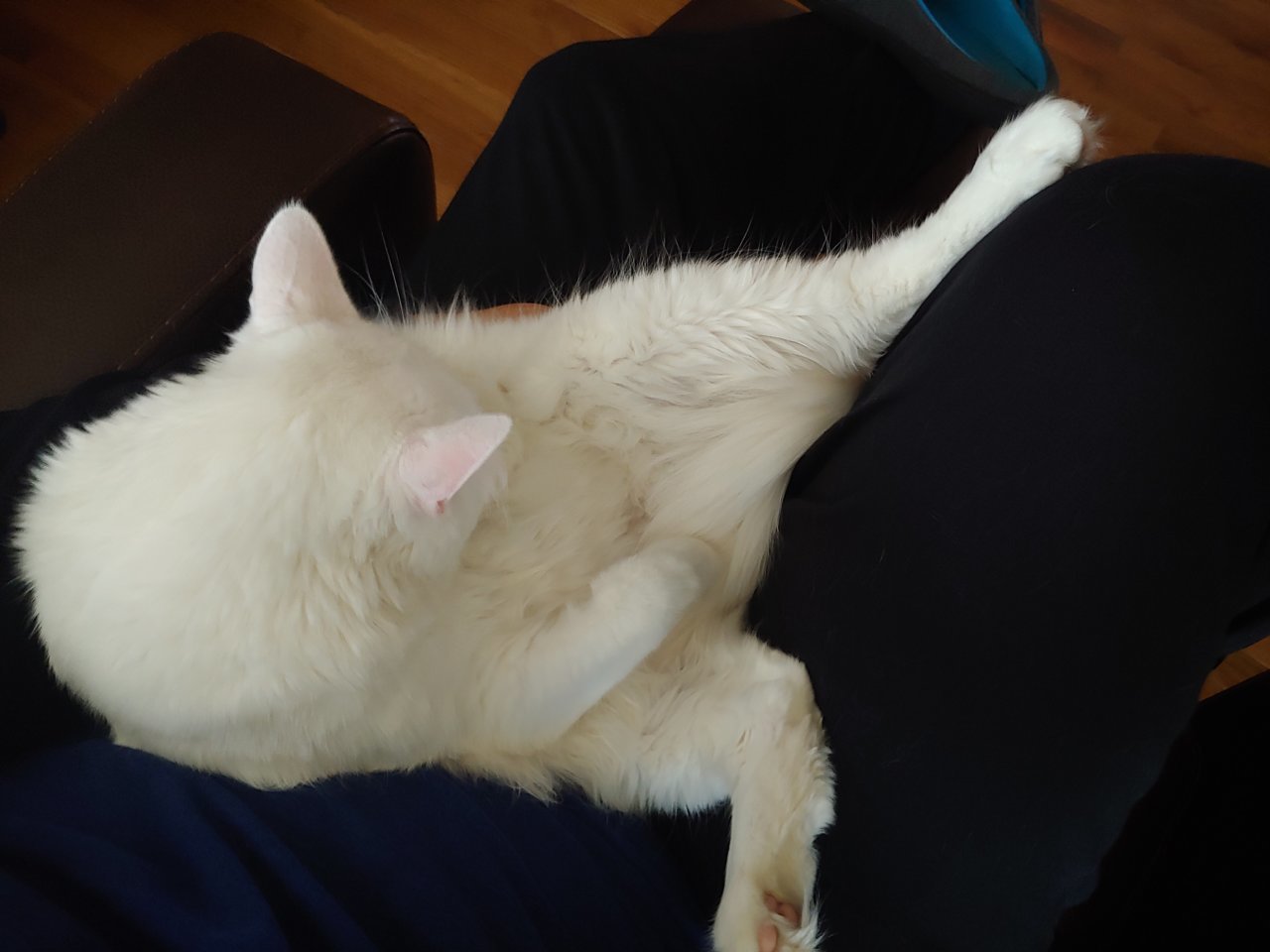 20200927_180729.jpg