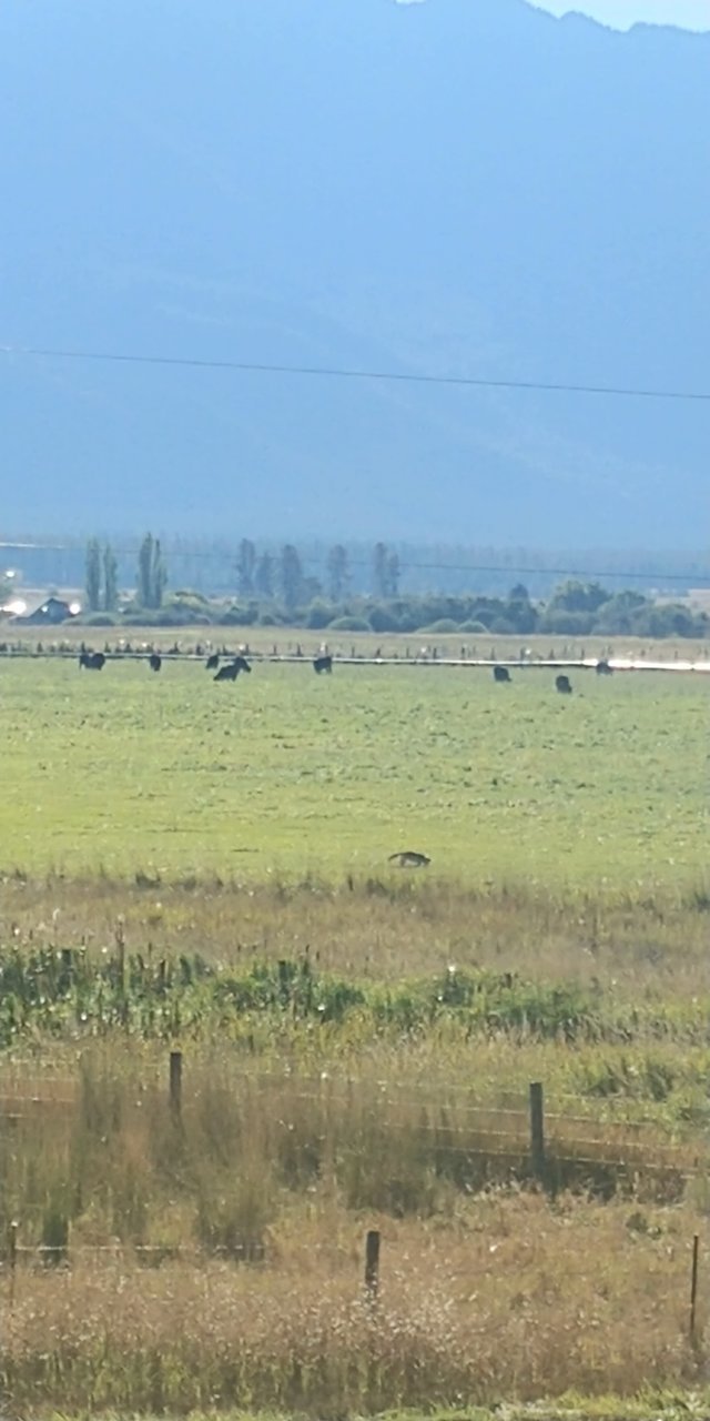 20200928_093030.jpg