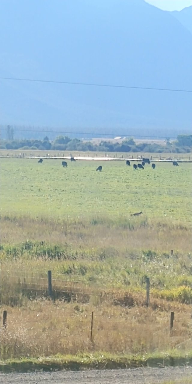 20200928_093102.jpg