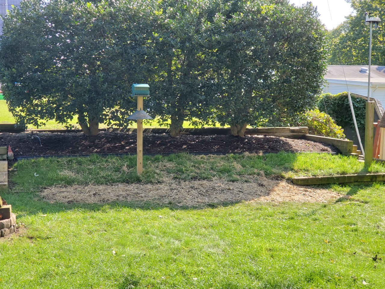 20200928_103236.jpg