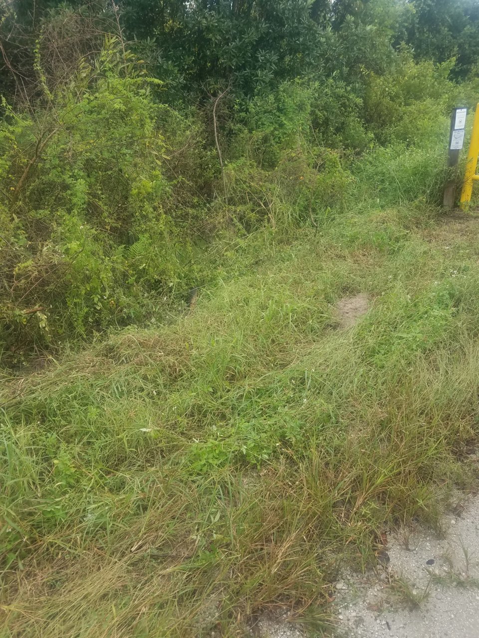 20200928_172949.jpg