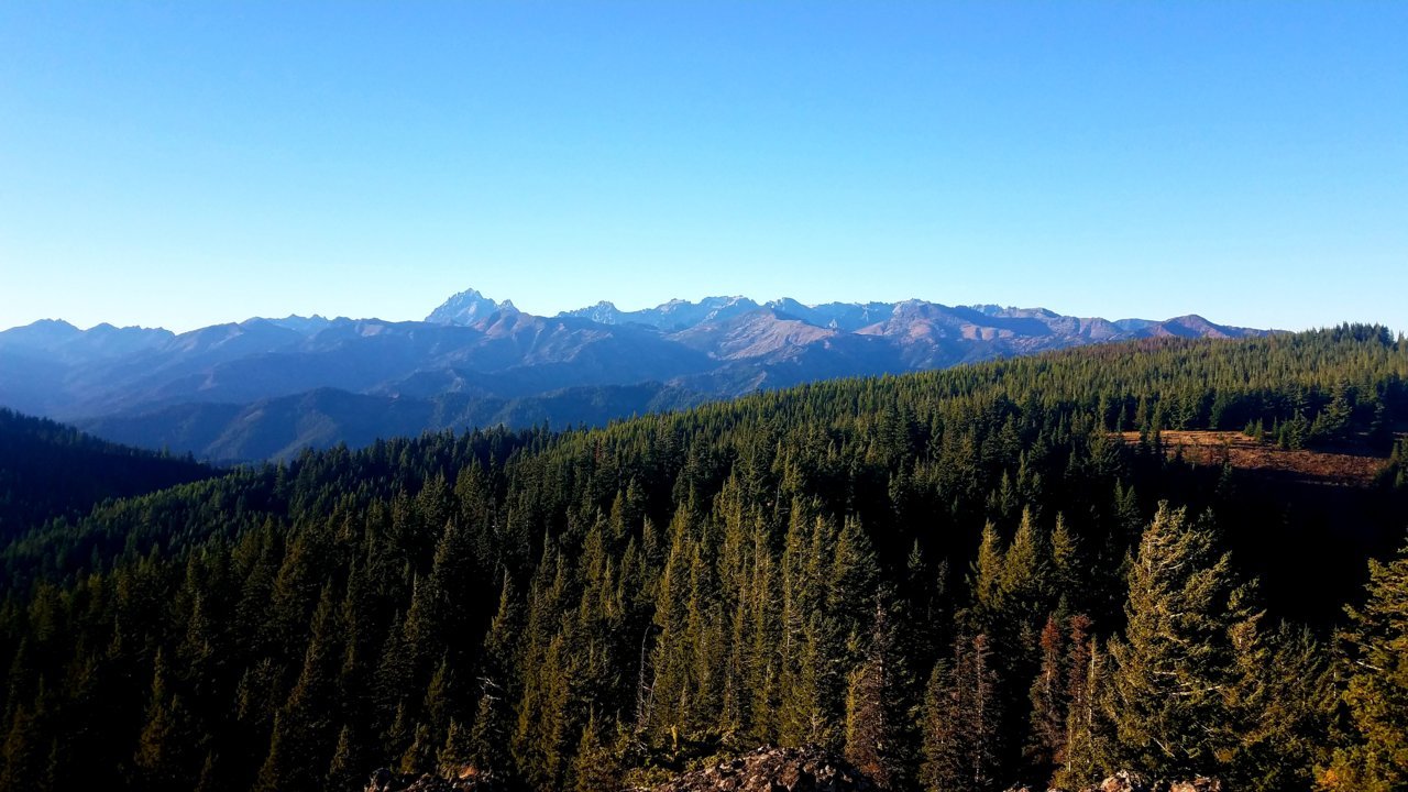 20200928_212535.jpg