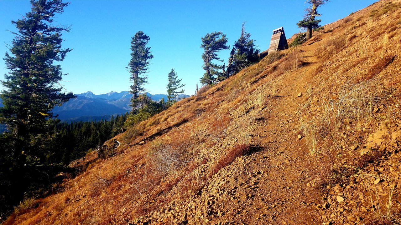 20200928_212702.jpg
