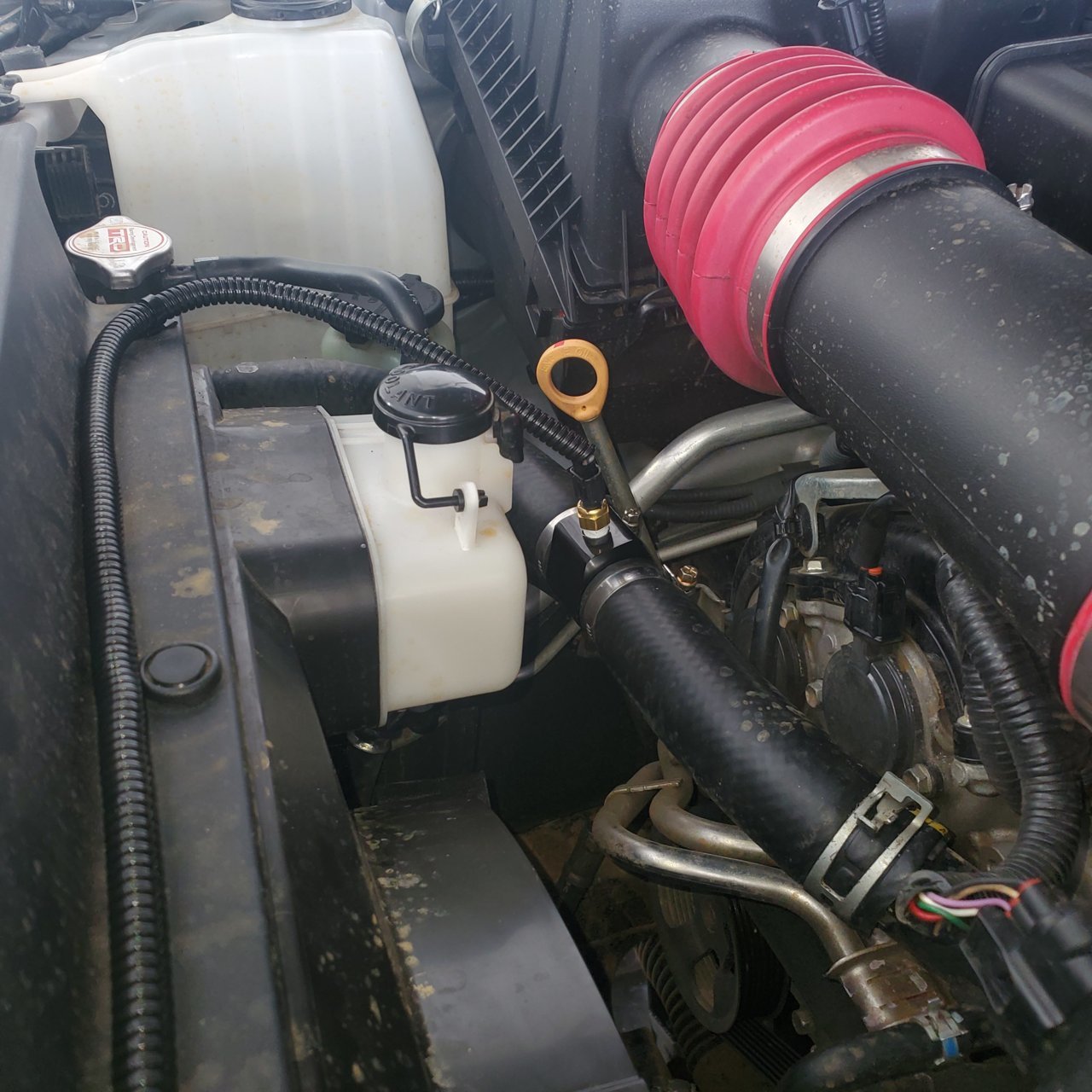 20200929_143345.jpg