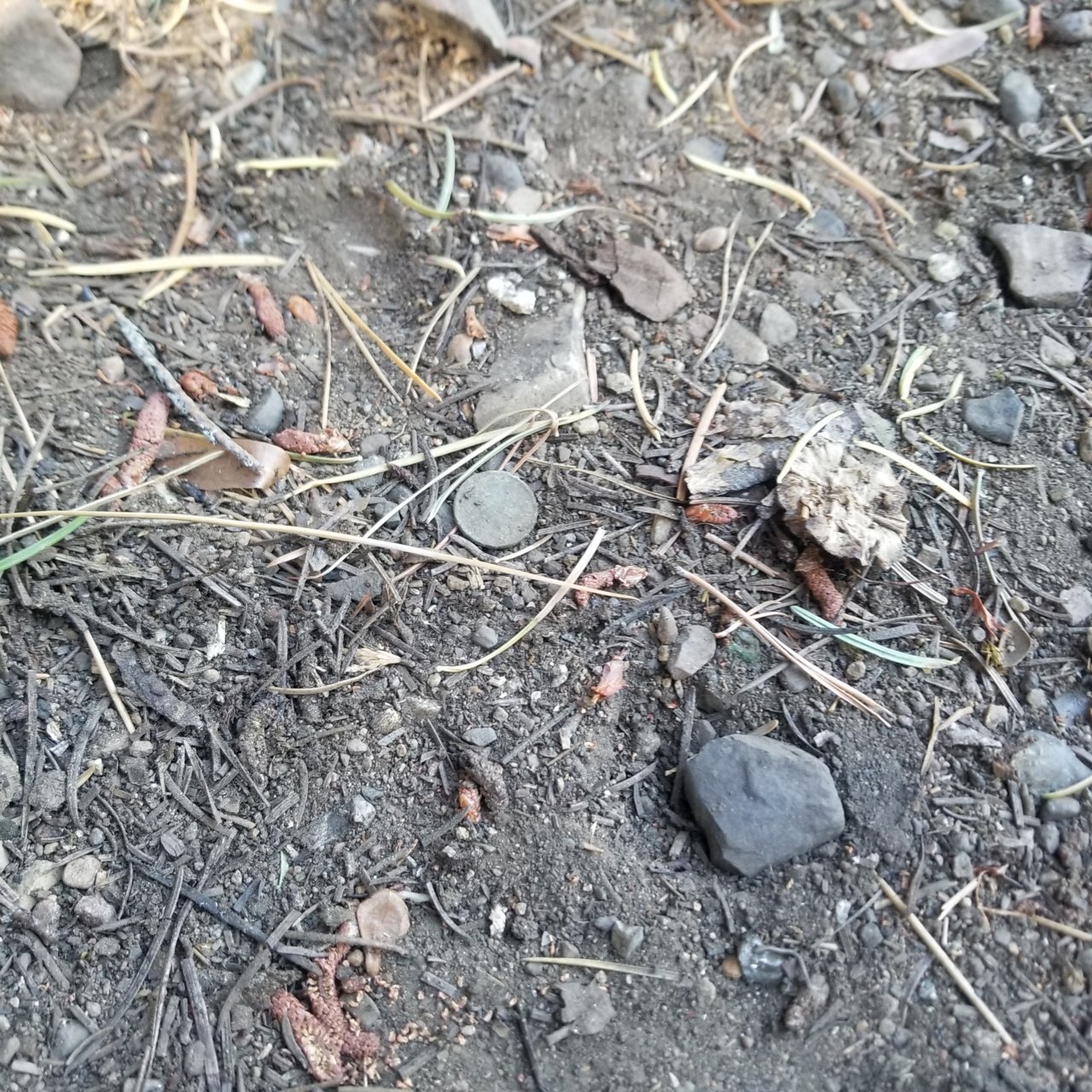 20201001_123012.jpg