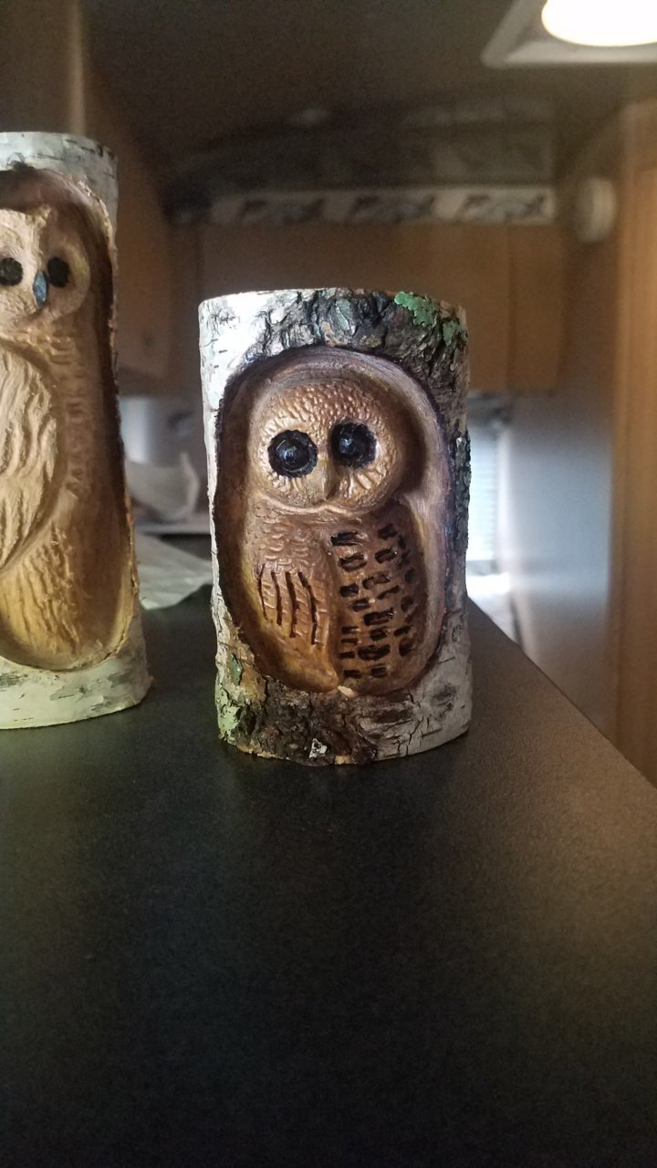 20201001_155003.jpg