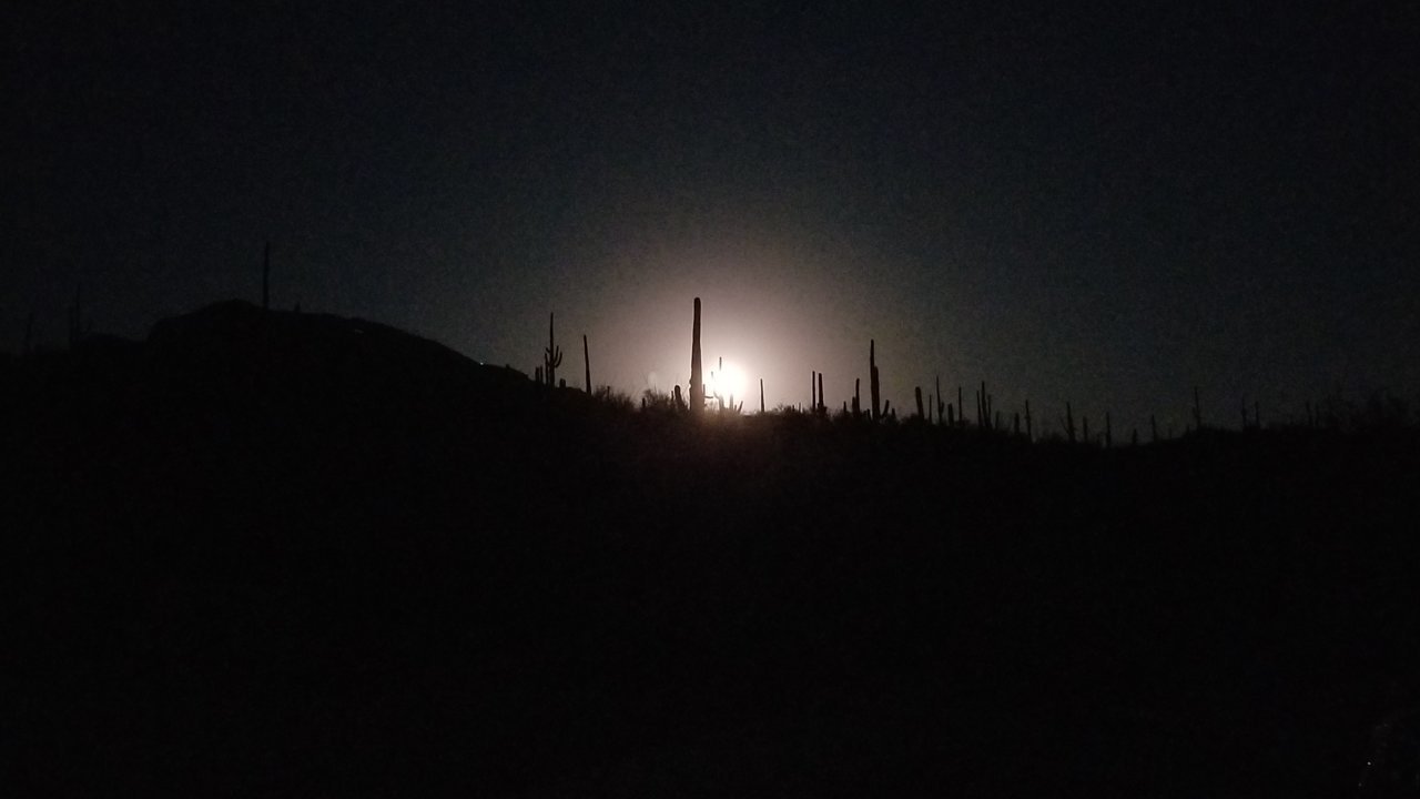 20201001_190340.jpg