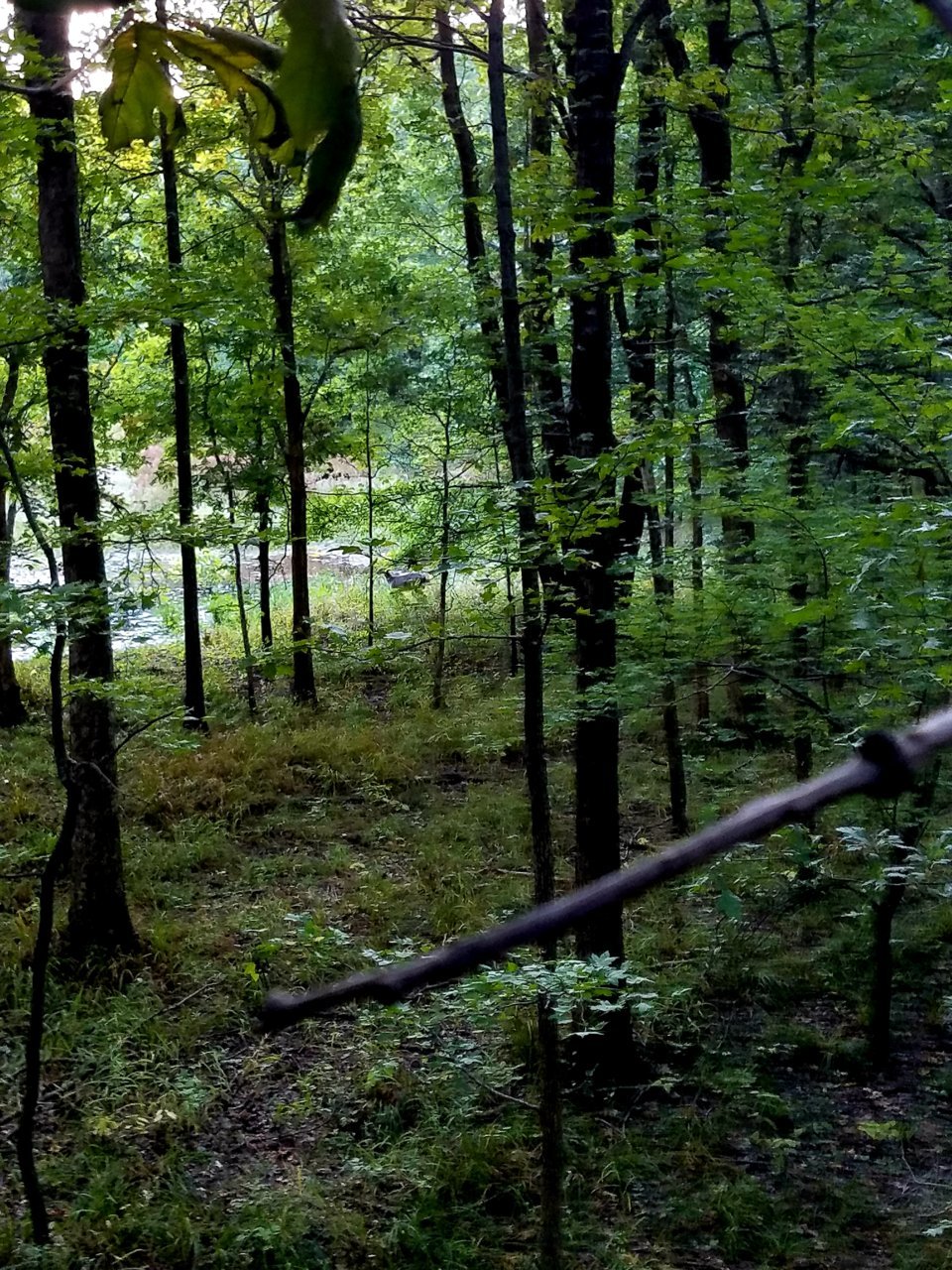 20201001_213050.jpg