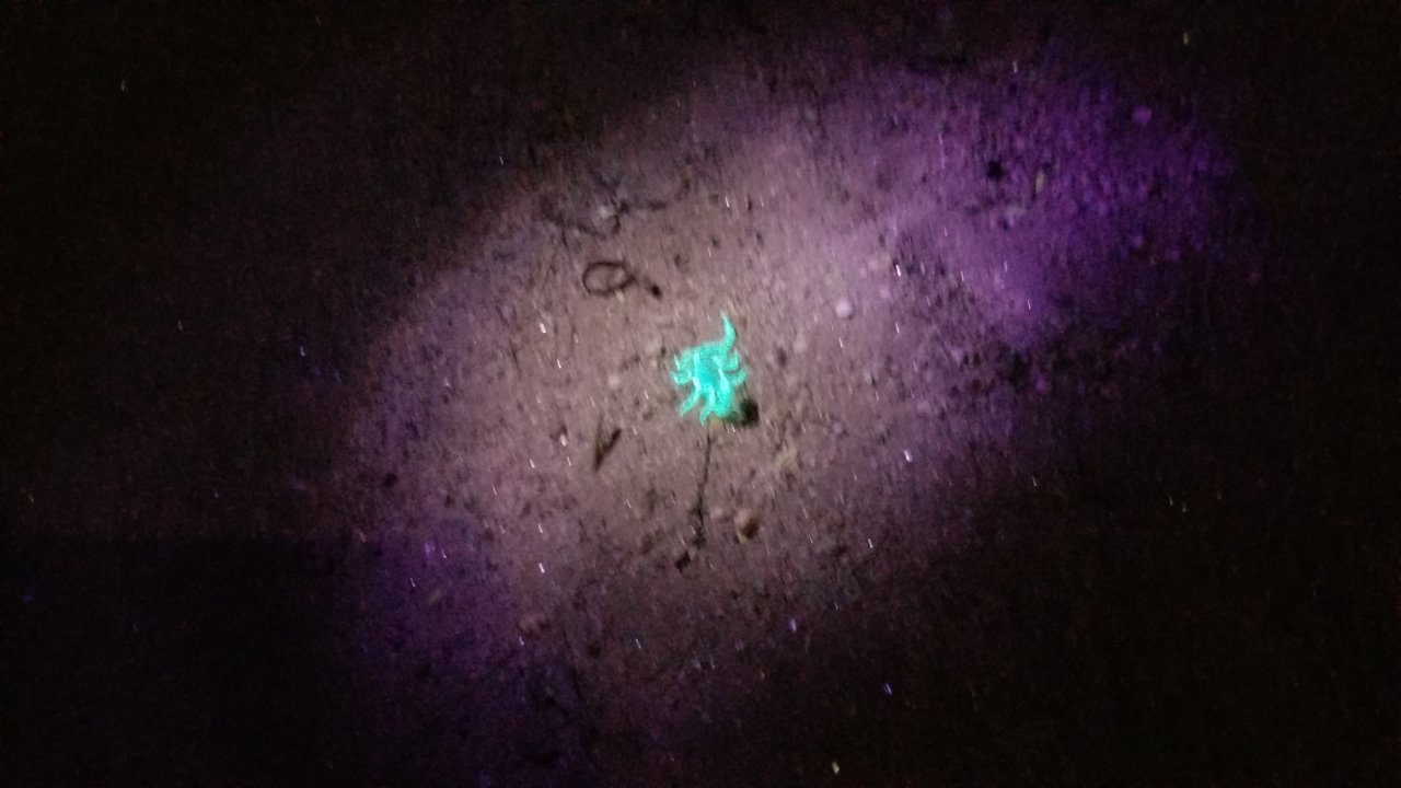 20201001_223610.jpg