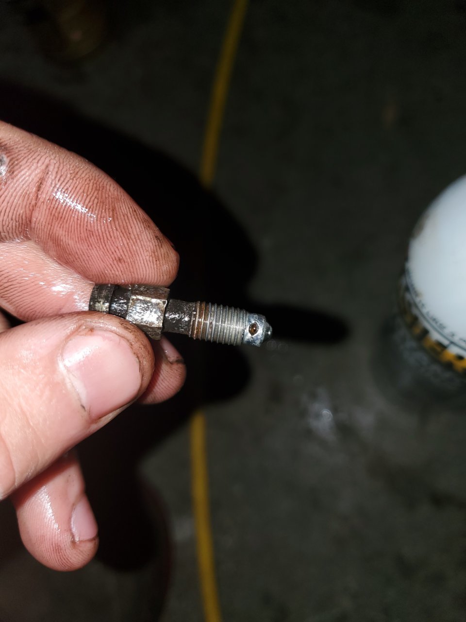 Brake Caliper Leaking from Bleeder Screw World