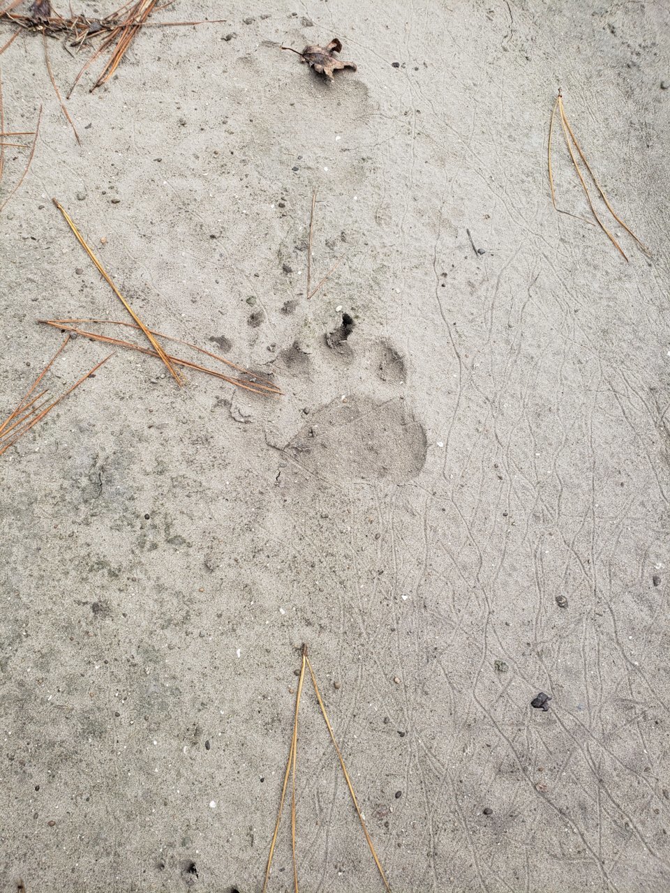 20201002_121846.jpg