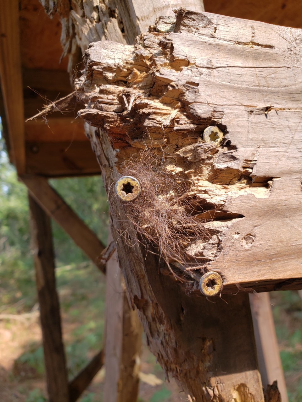 20201002_142754.jpg