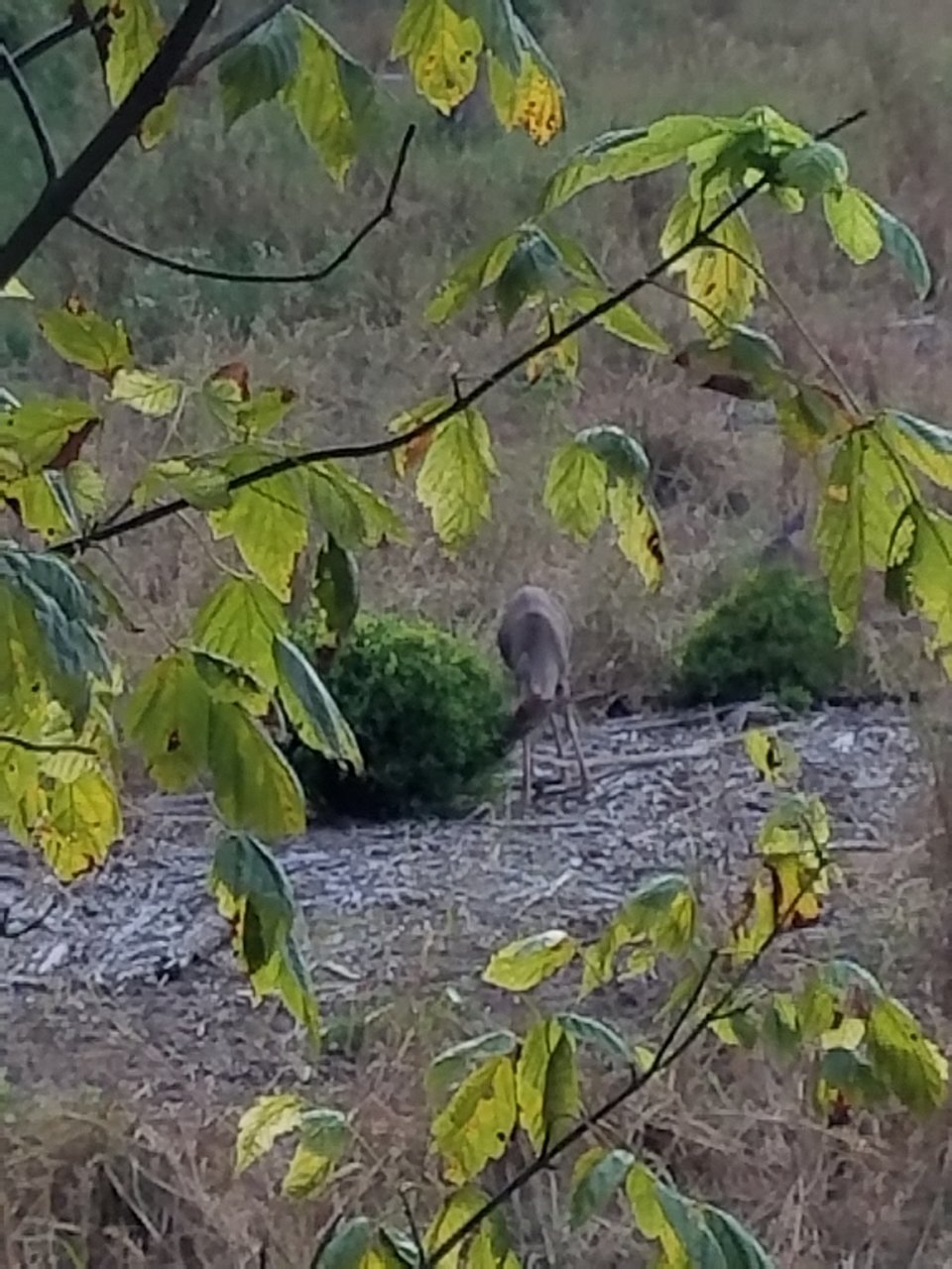 20201002_170547.jpg