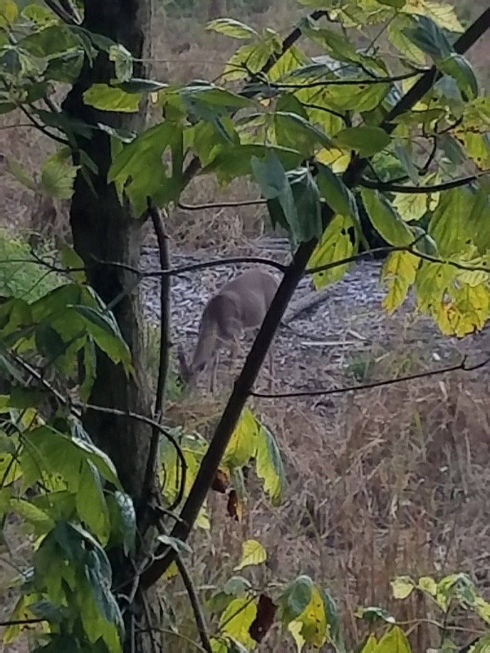 20201002_170635.jpg