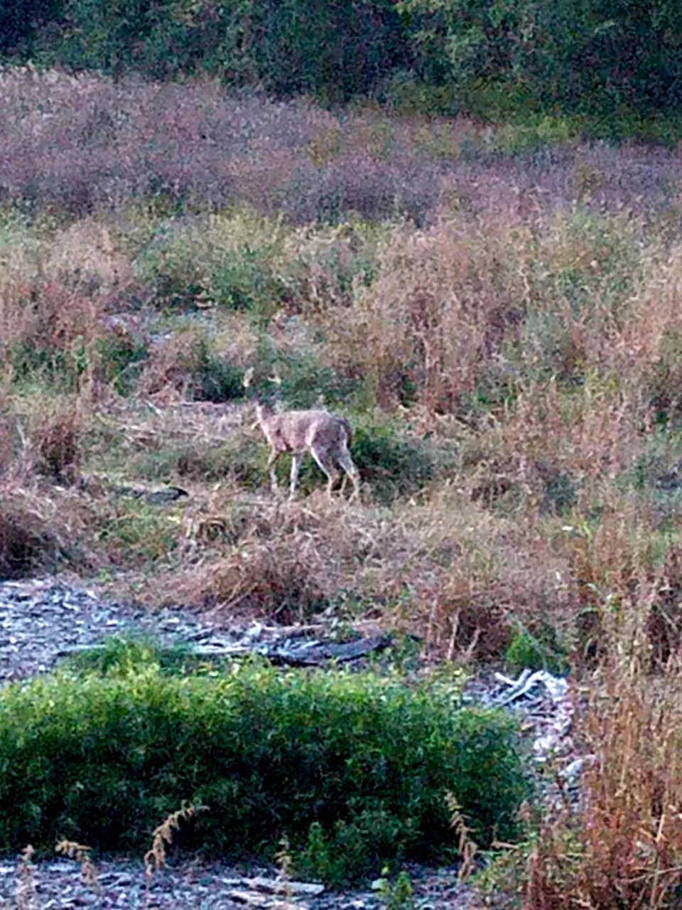 20201002_211155.jpg