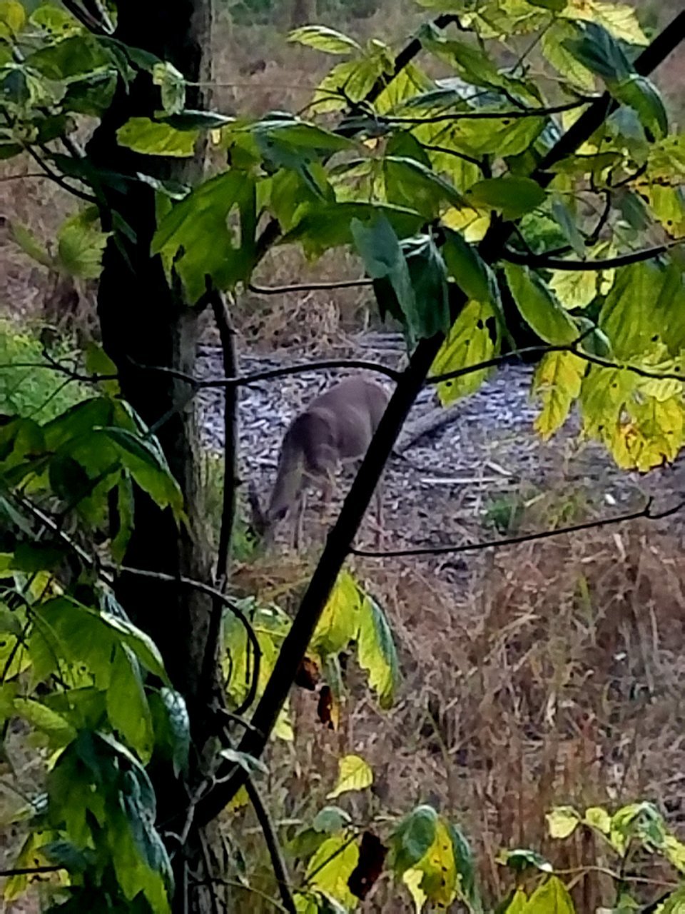 20201002_211323.jpg