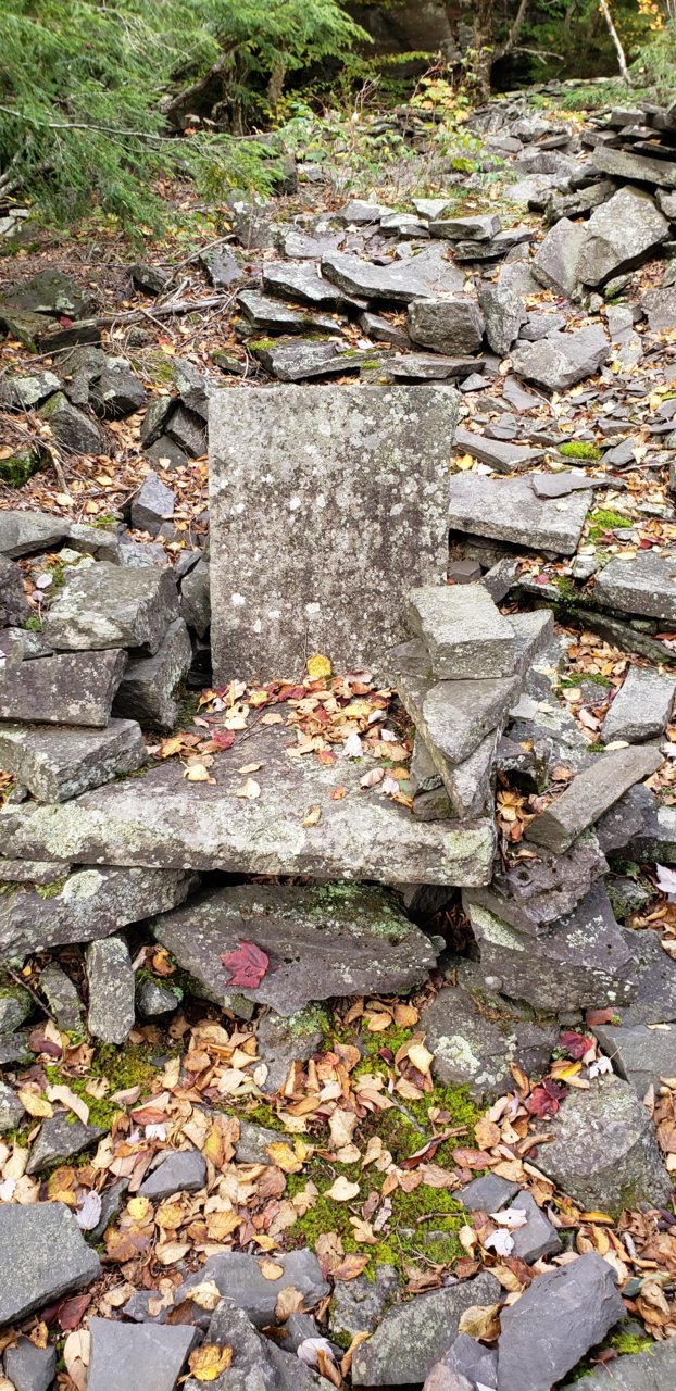 20201003_144733.jpg