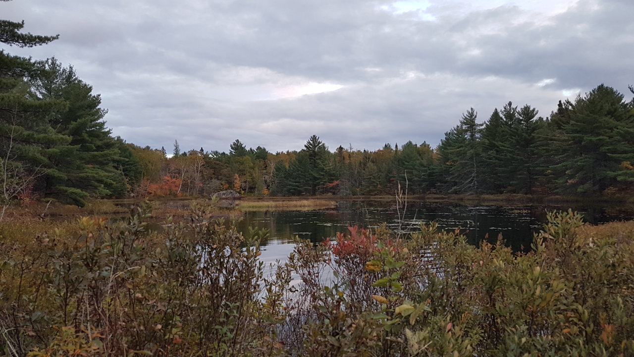 20201003_184242.jpg