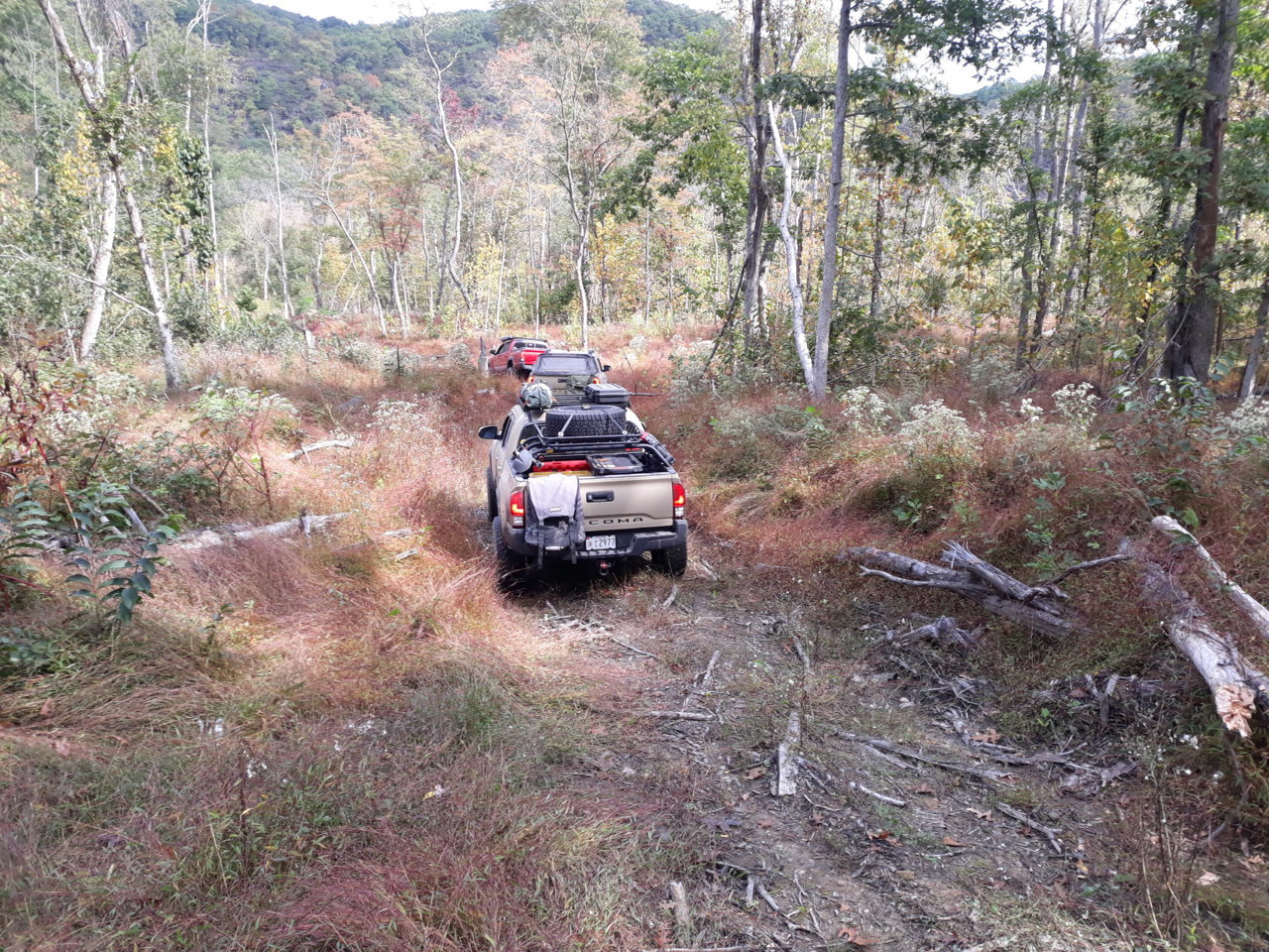 20201004_115205.jpg