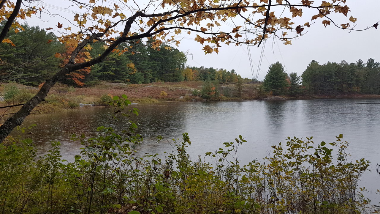 20201004_122219.jpg