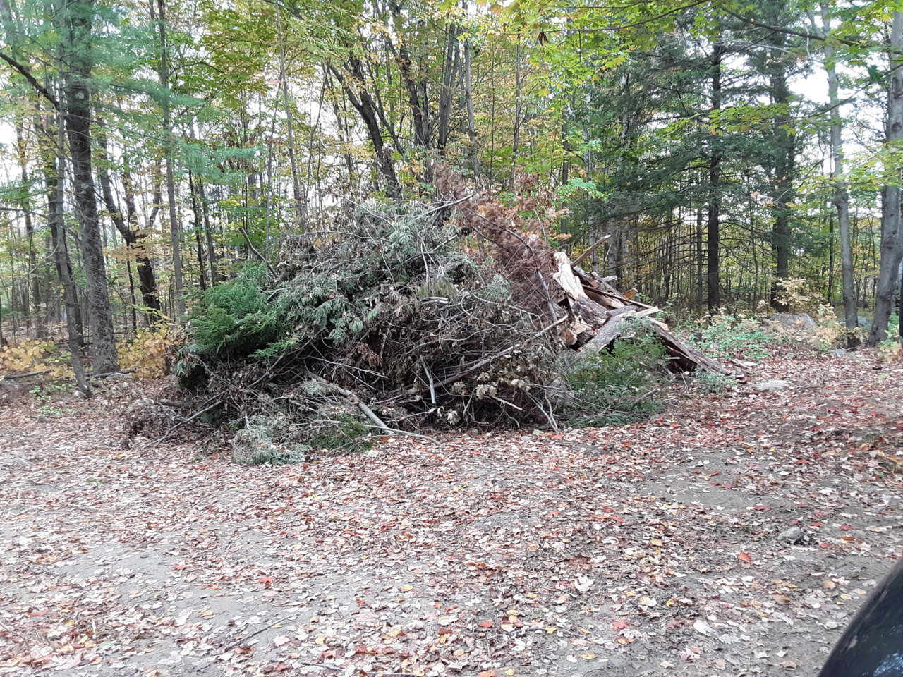 20201004_164355.jpg