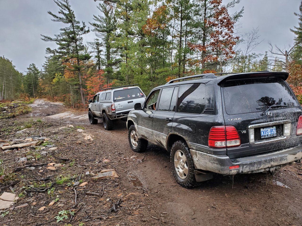 20201004_171735.jpg