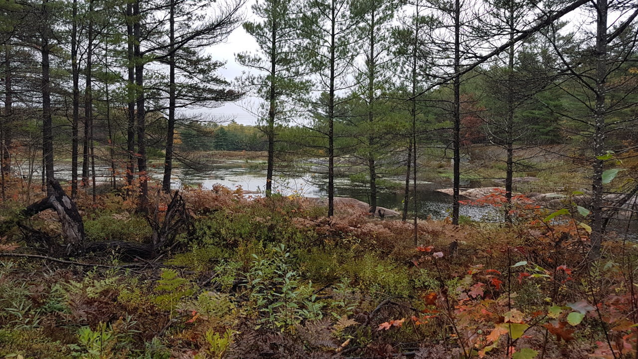 20201004_172557.jpg