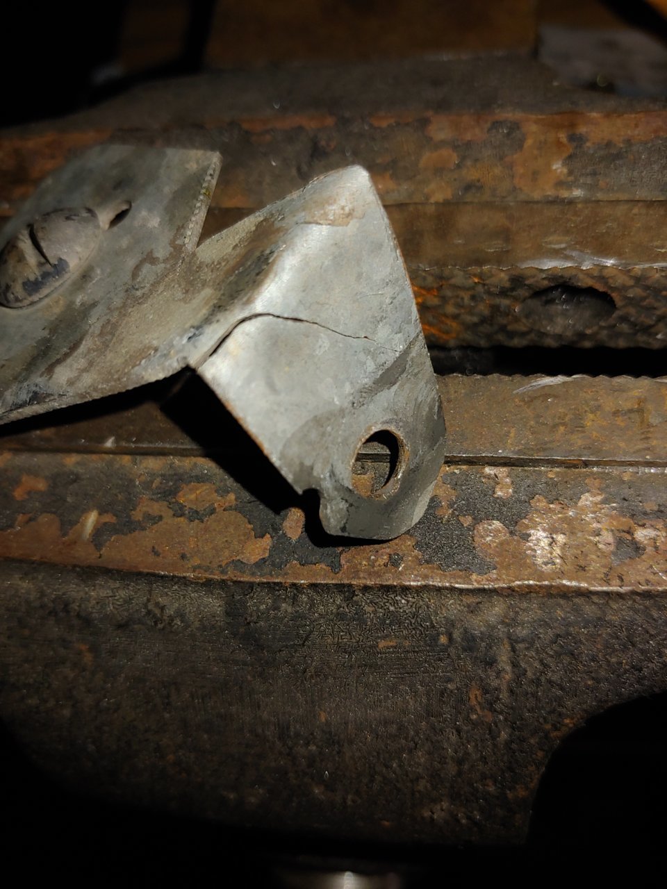 20201004_175300.jpg