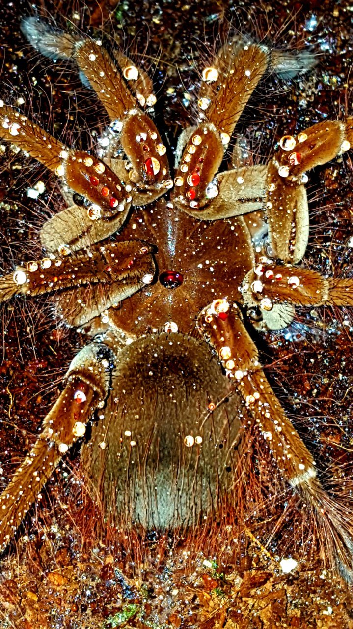 20201005_172131.jpg