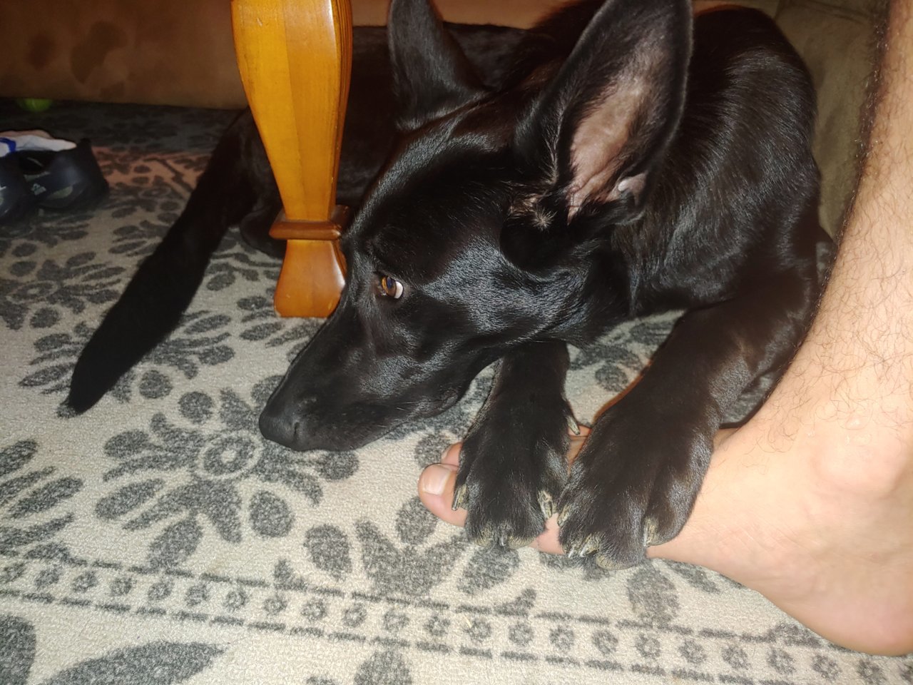 20201005_184337.jpg