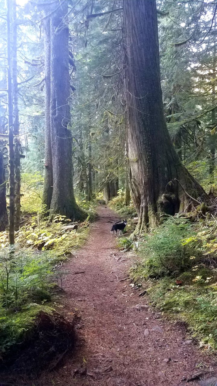 20201005_202015.jpg
