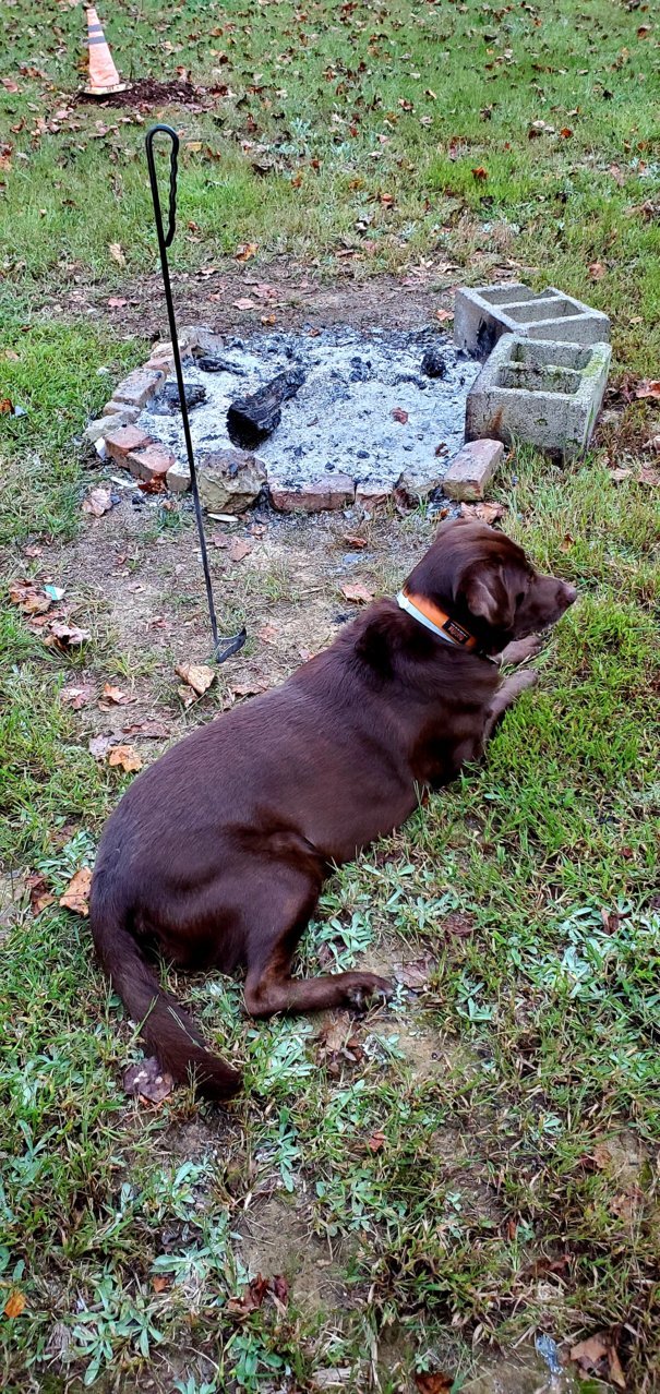 20201005_202227.jpg