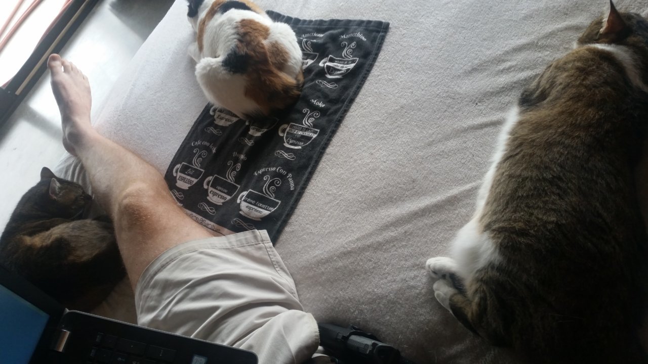 20201006_090358.jpg