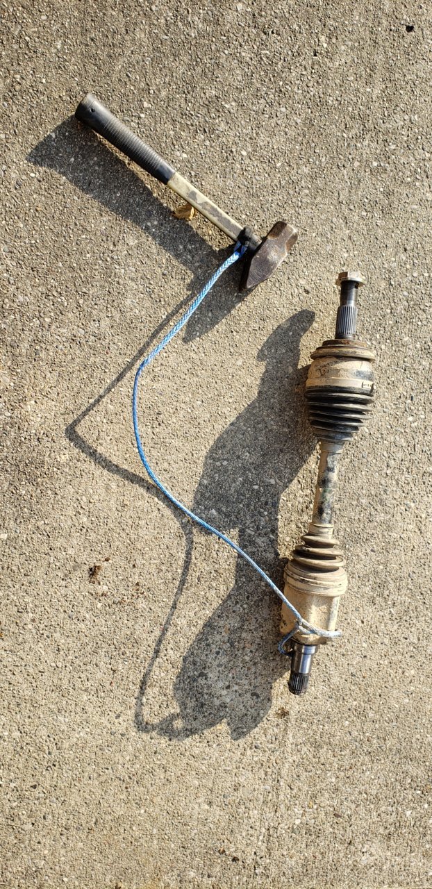 20201006_172204.jpg
