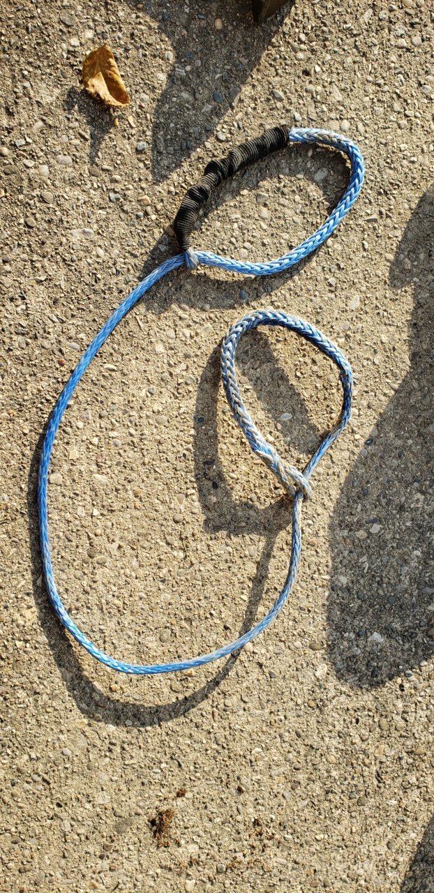 20201006_172235.jpg