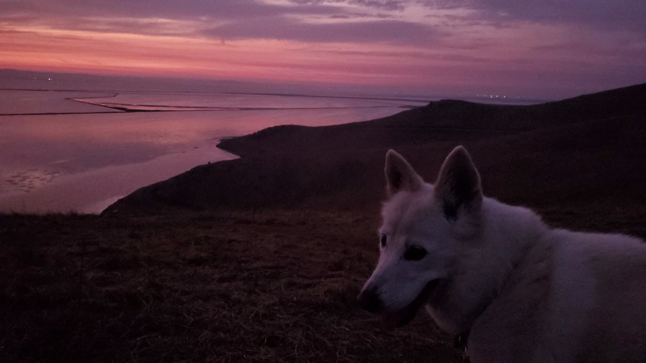 20201006_190255.jpg